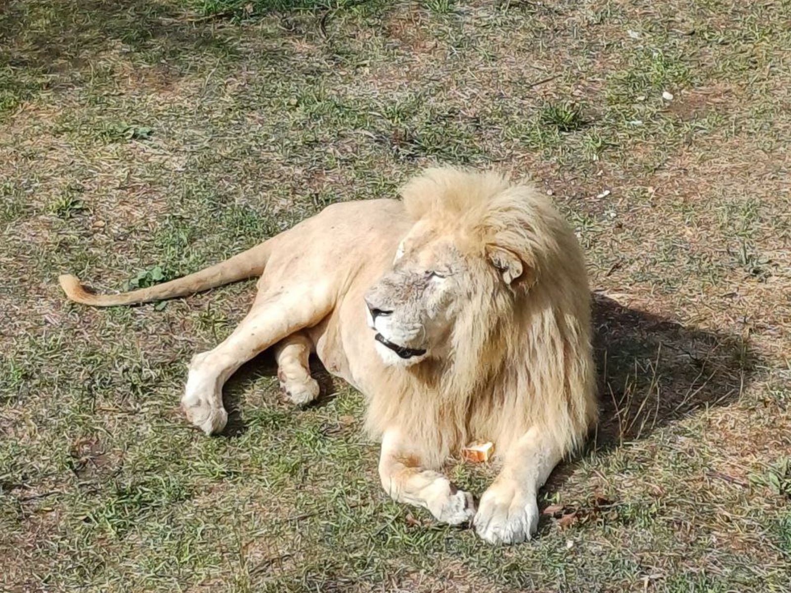 Сафари-парк