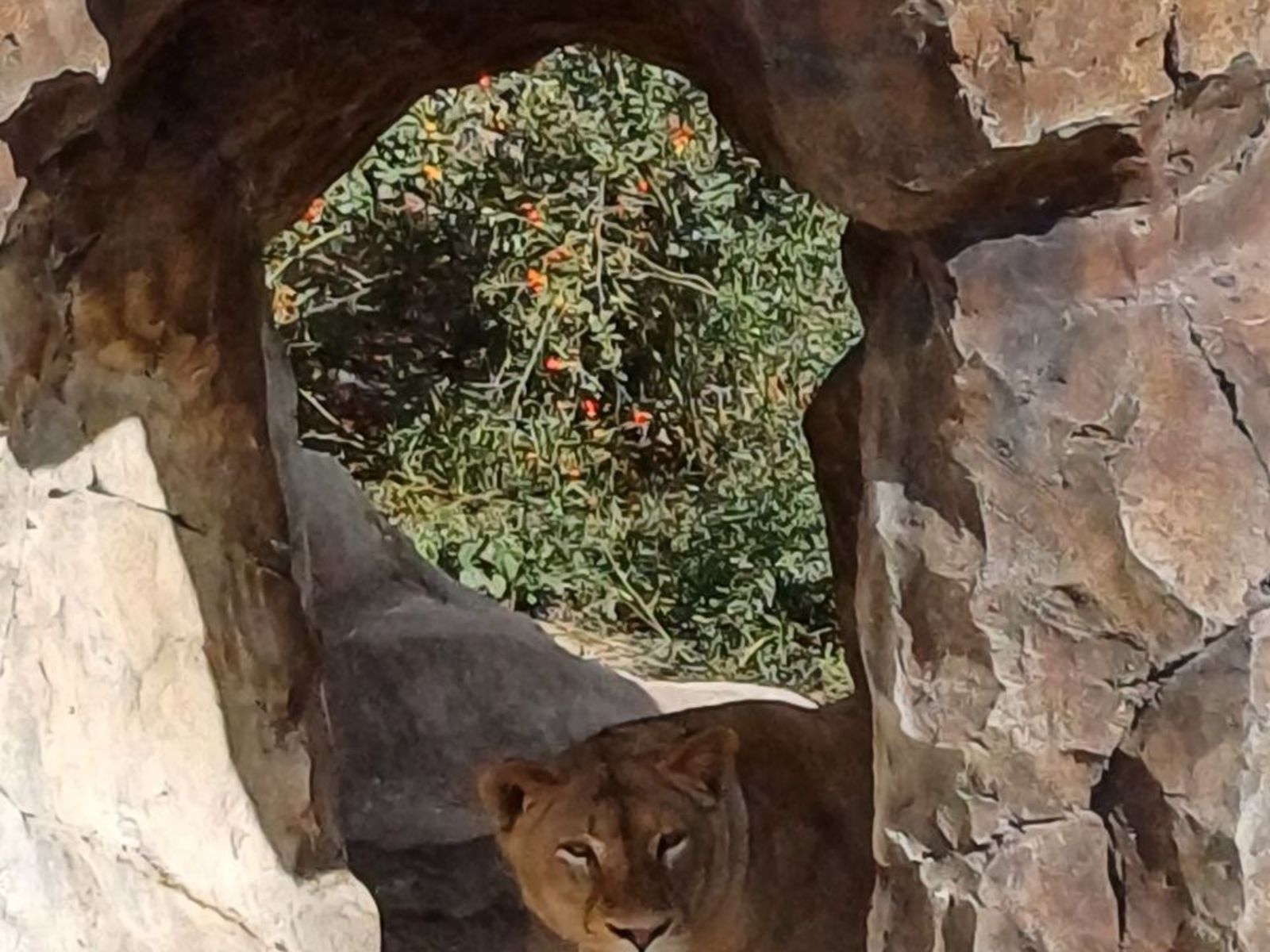 Наблюдаем за посетителями