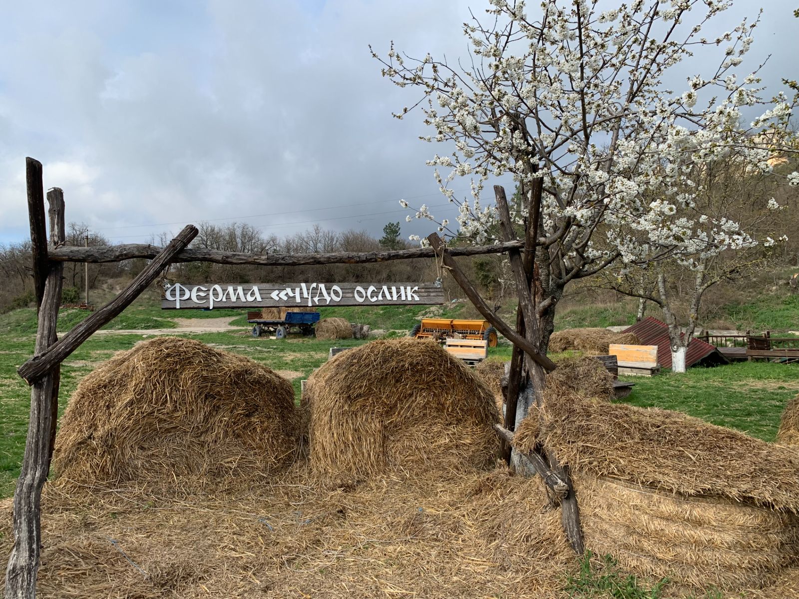 Фотозона фермы