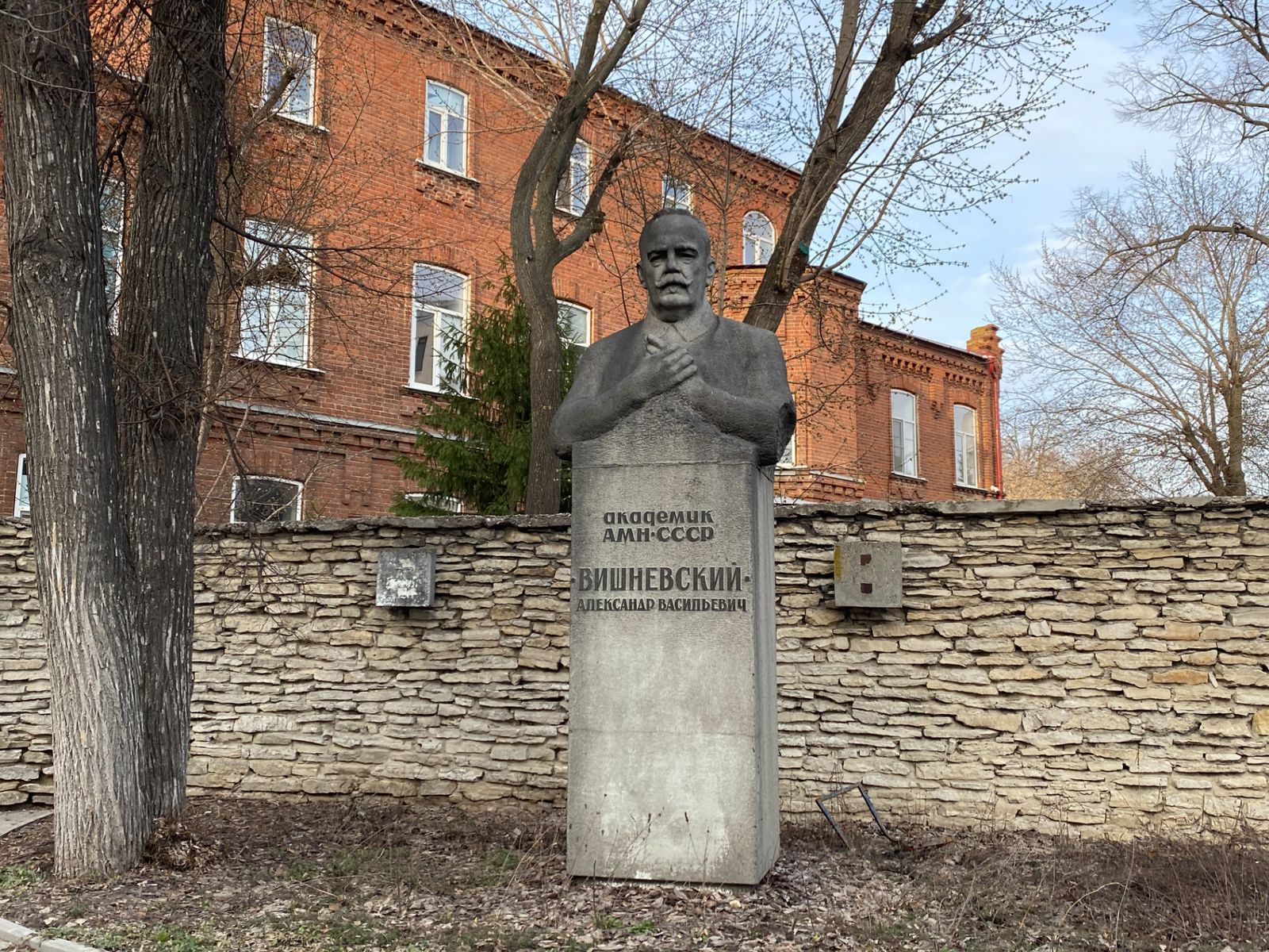 Памятник А.В. Вишневскому