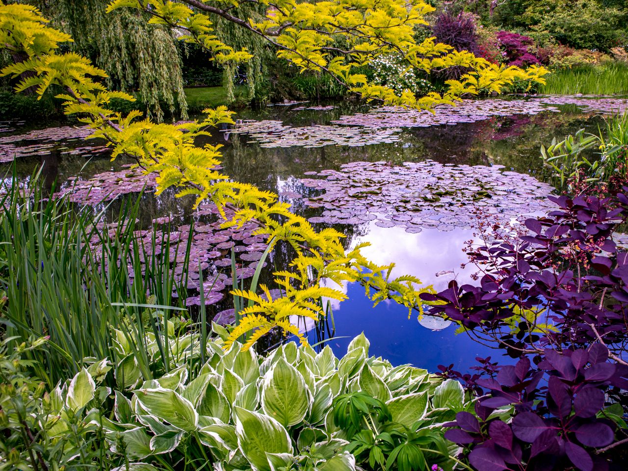 Экскурсия из Парижа в Нормандию: сад Моне в Живерни+скалы Этрета - индивидуальная экскурсия в Париже на машине гида длительностью 12 часов с количеством участников до 6 человек цена экскурсии 650€