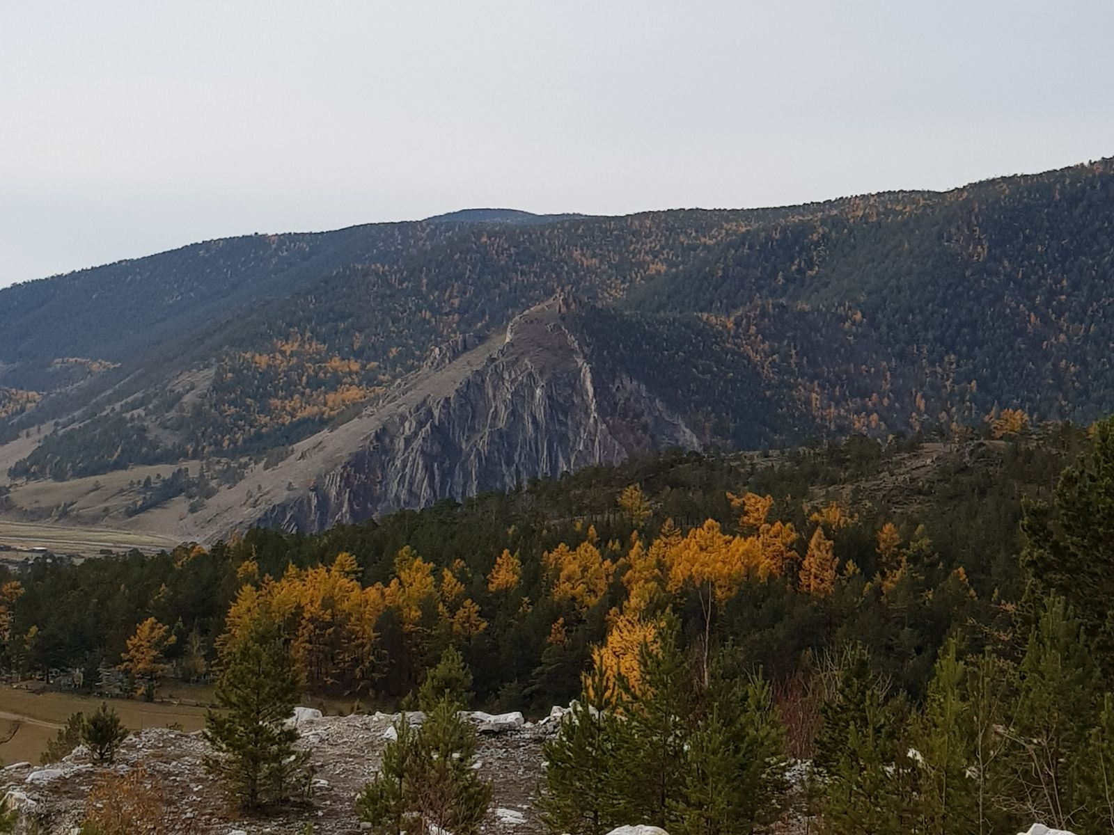 Мишкина гора