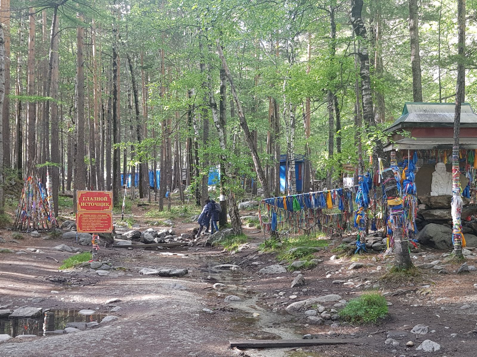 Глазной источник