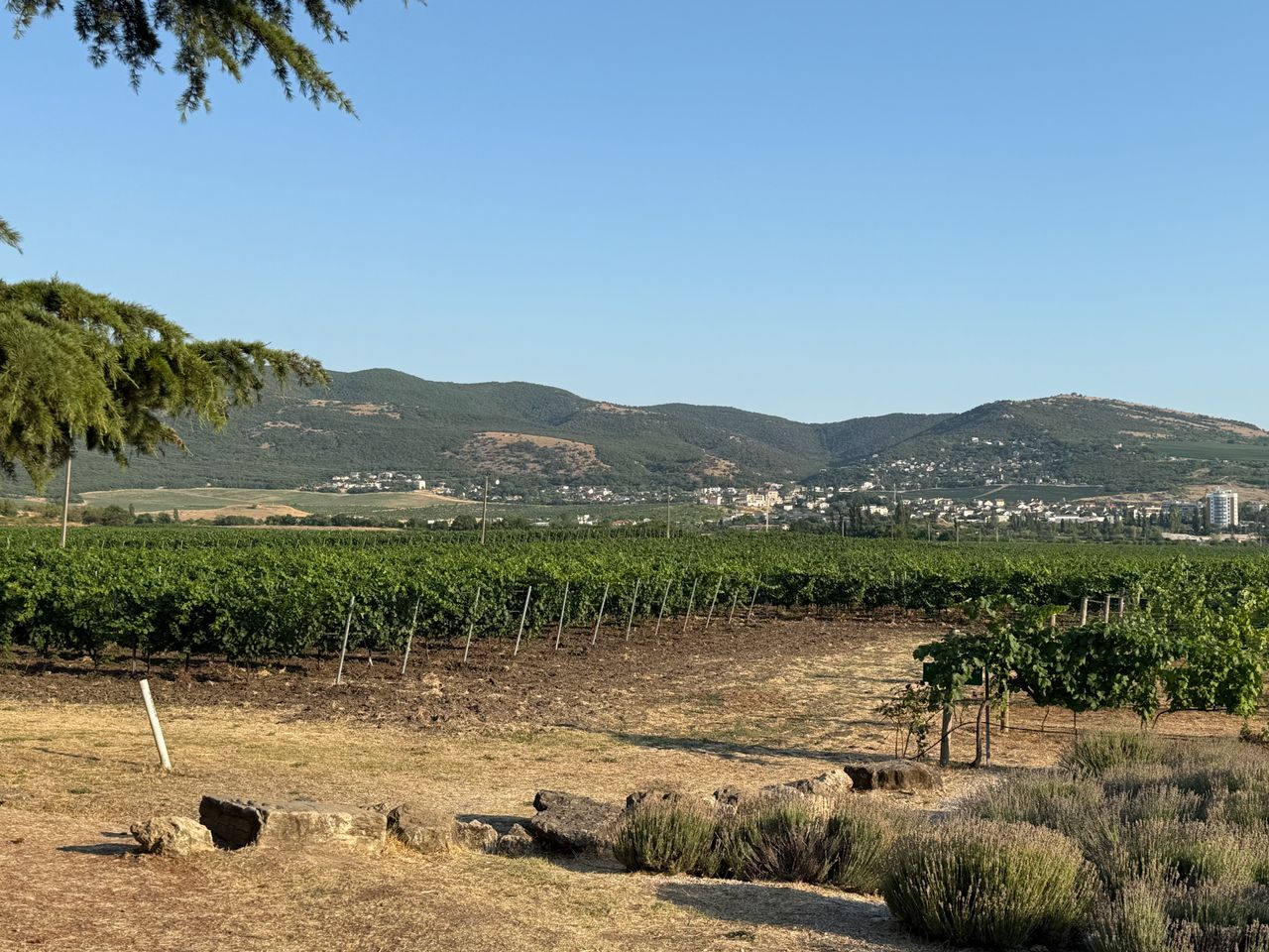 Групповая вечерняя экскурсия из Севастополя: вино и море - групповая экскурсия в Севастополе на автобусе длительностью 5 часов с количеством участников до 17 человек со скидкой 5% цена экскурсии 1520₽