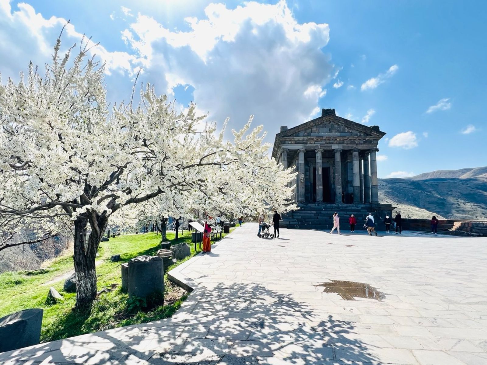 Гарни весной