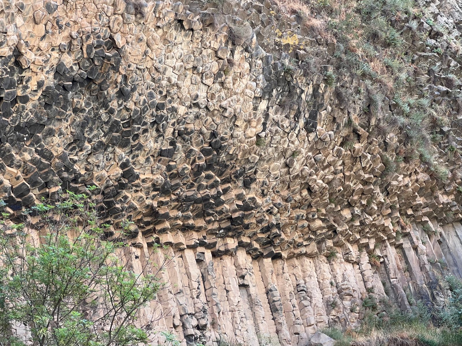 Базальтовый орган