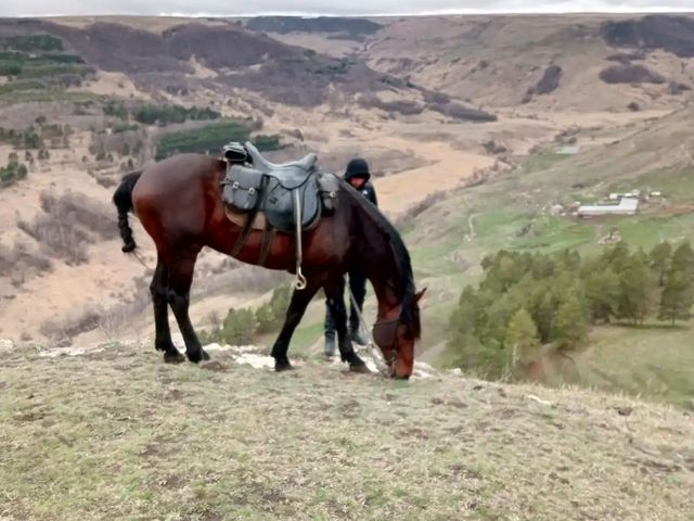 Конная экскурсия над ущельем реки Берёзовой из Кисловодска — фото 3