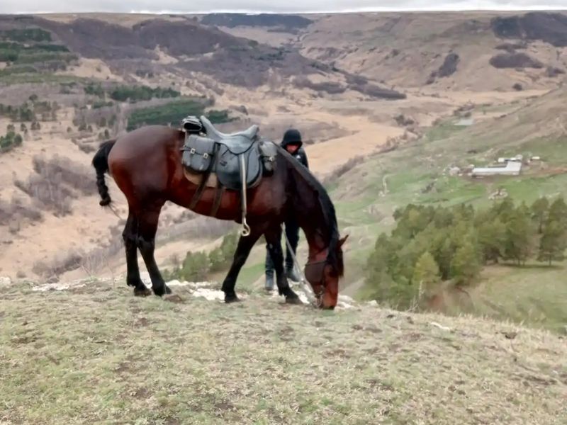 Берёзовское ущелье