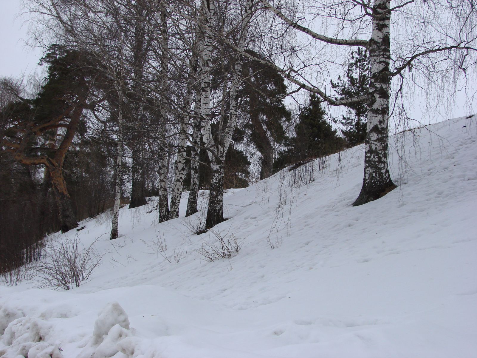 Вал XII века не спас Городец от нашествия монголов