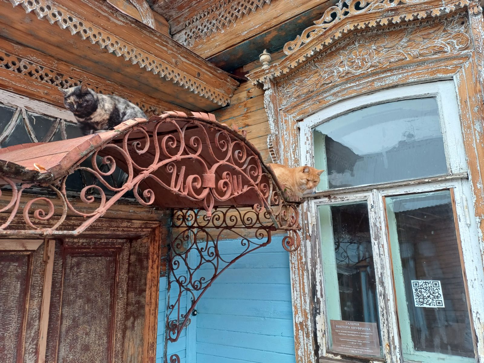 Городец - город кошек и немытых окошек