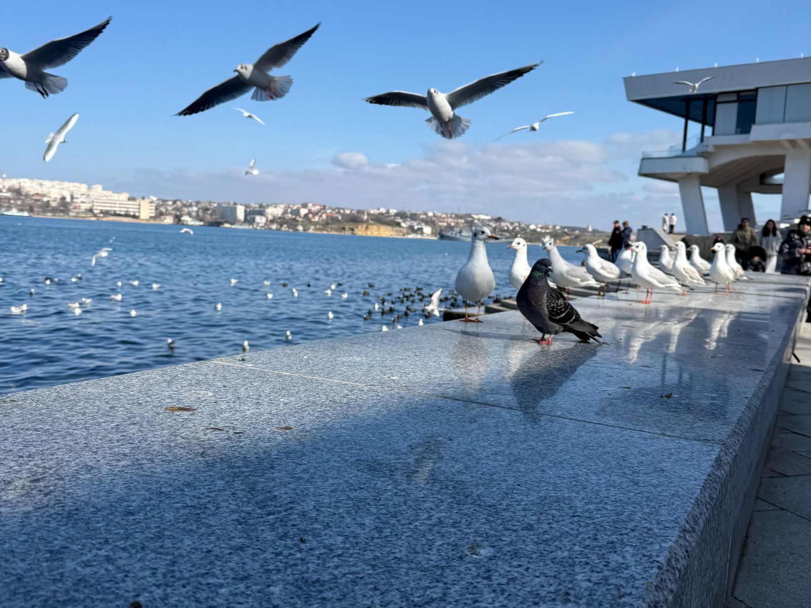 Набережная Севастополя