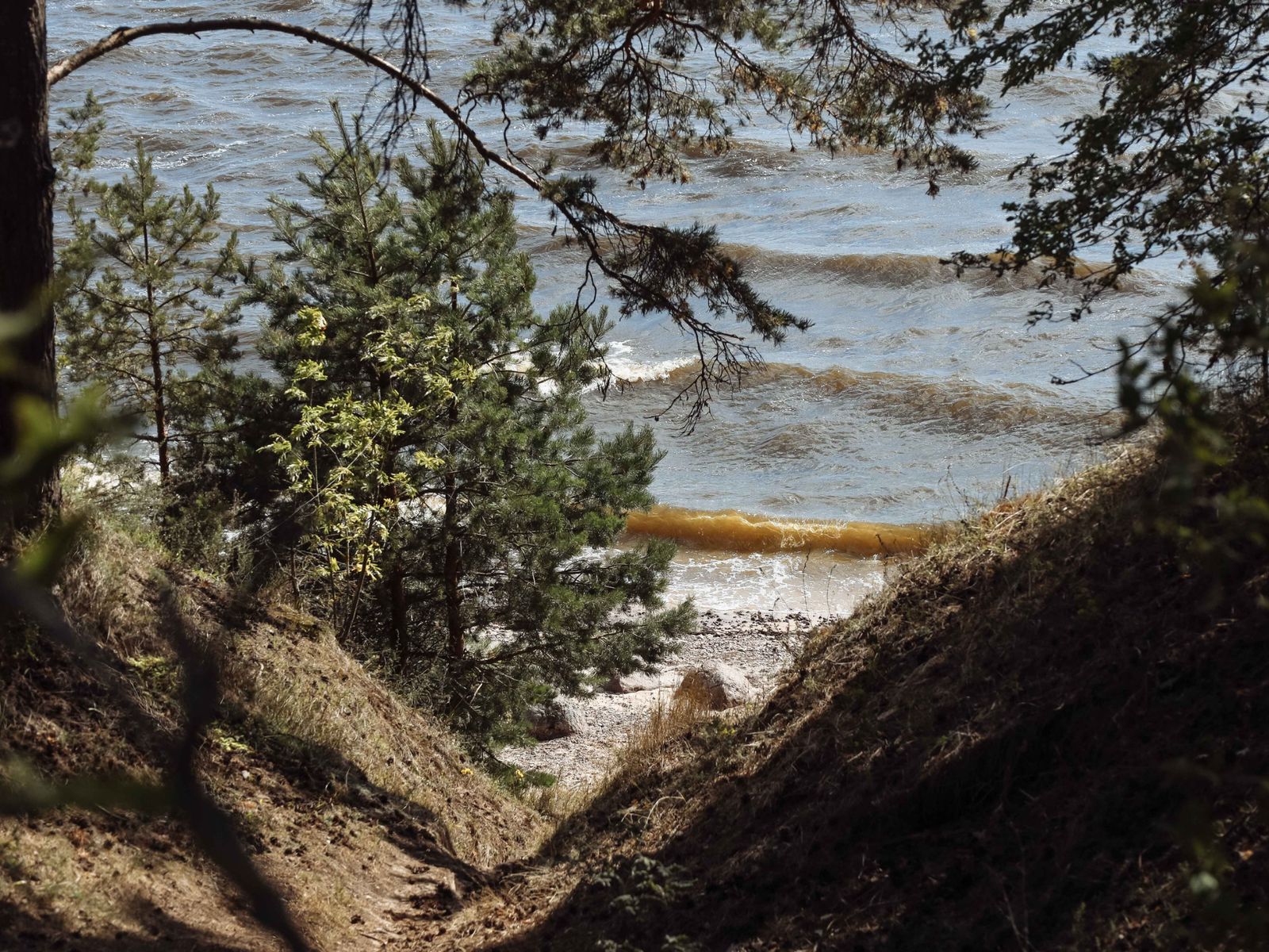 Виды о. Белов