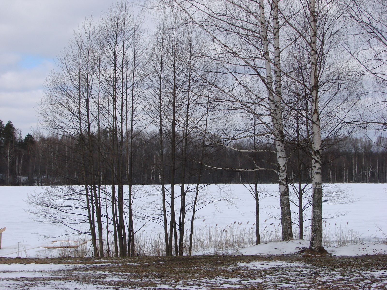 Зимой на Светлояре тишина и покой