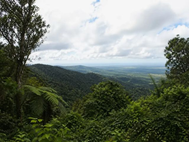 Индивидуальная экскурсия из Кэрнса в национальный парк Дейнтри
