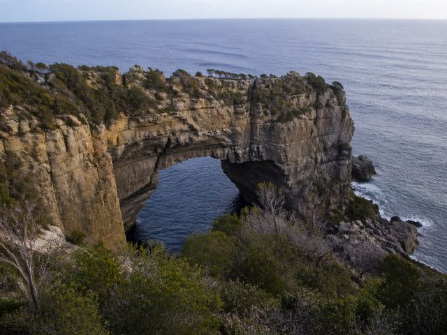 Обзорная экскурсия по Хобарту и полуострову Тасман для круизников