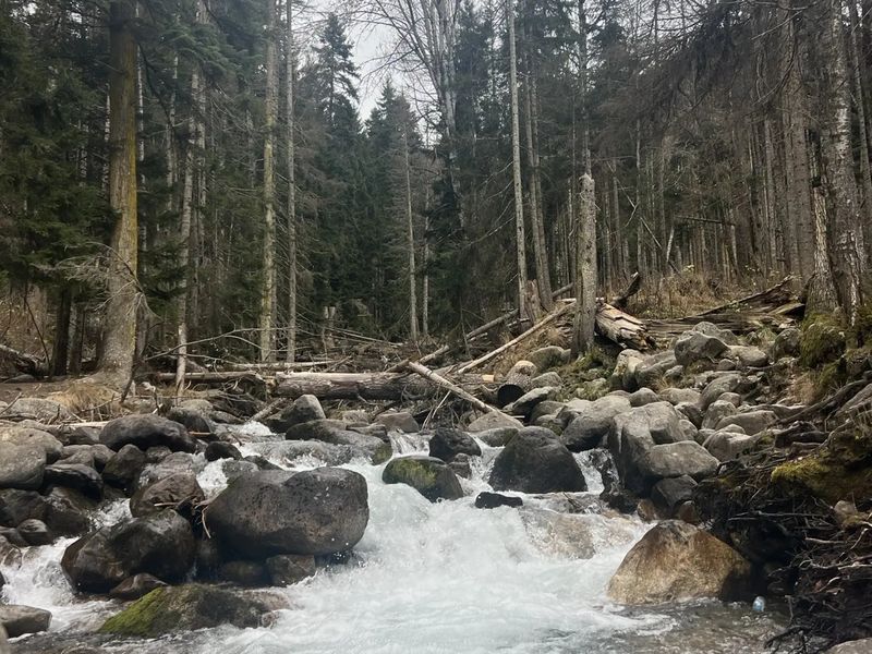 Река по дороге в Домбай