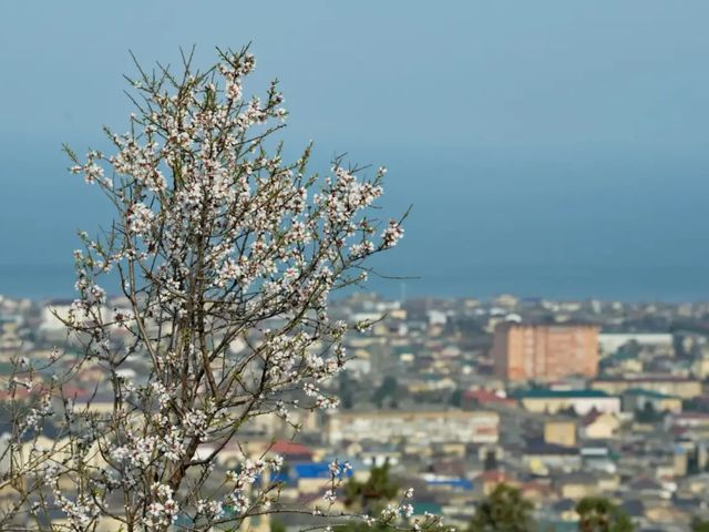 Индивидуальный тур по Дагестану из Махачкалы на 5 дней в горы — фото 2