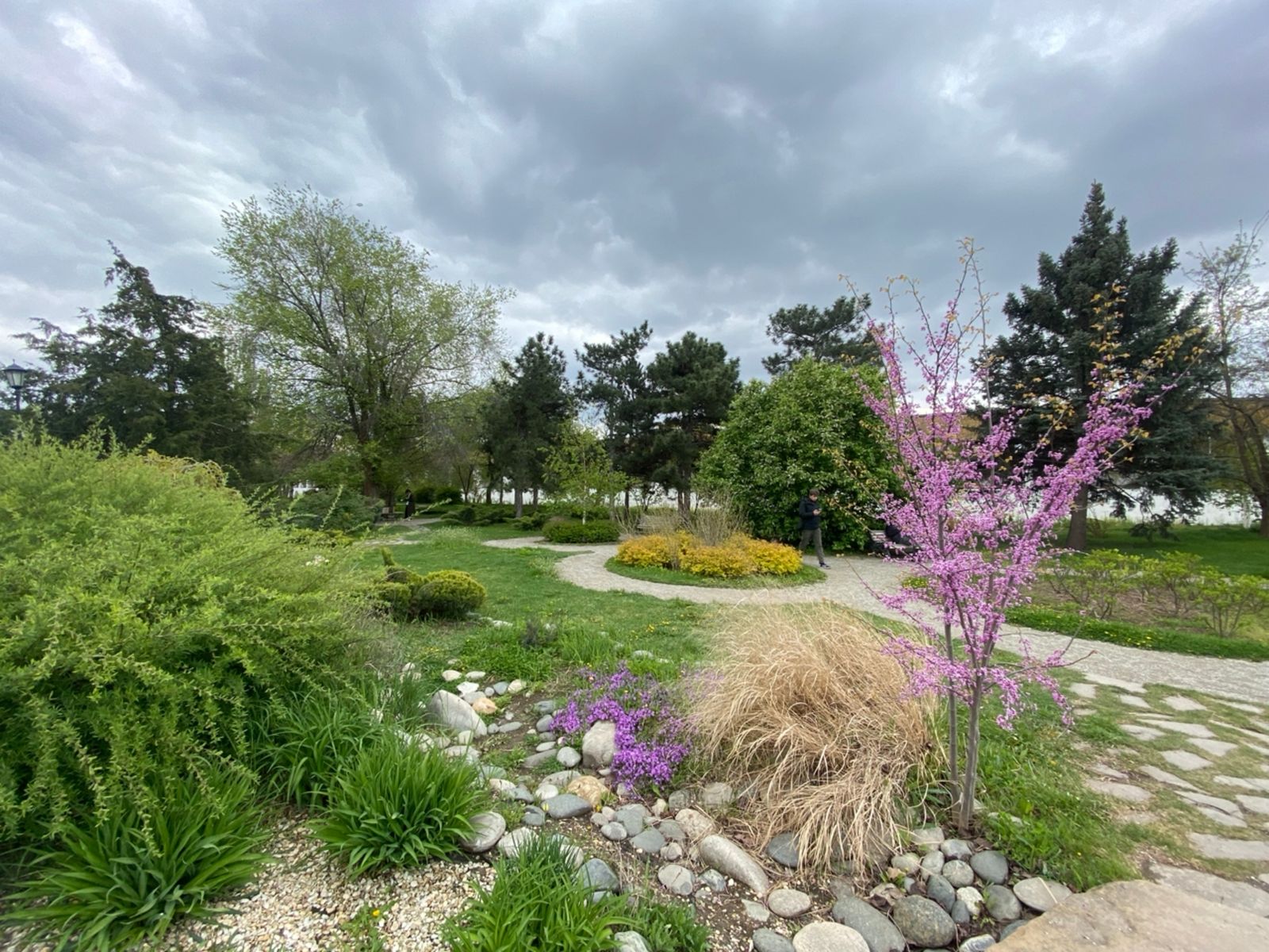 Петровский сад