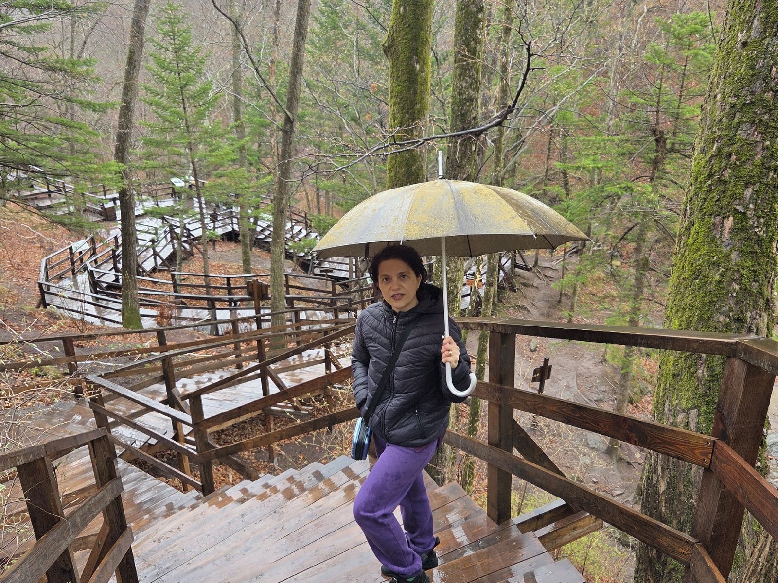 Экотропа даже в непогоду красива