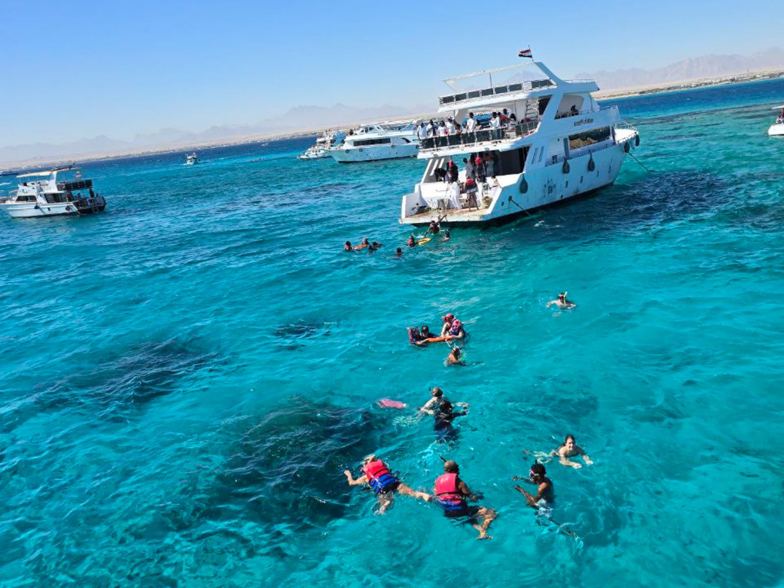 Снорклинг среди ярких кораллов Красного моря