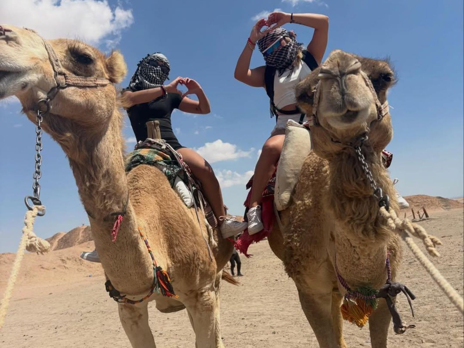 Катание на верблюде в пустыне