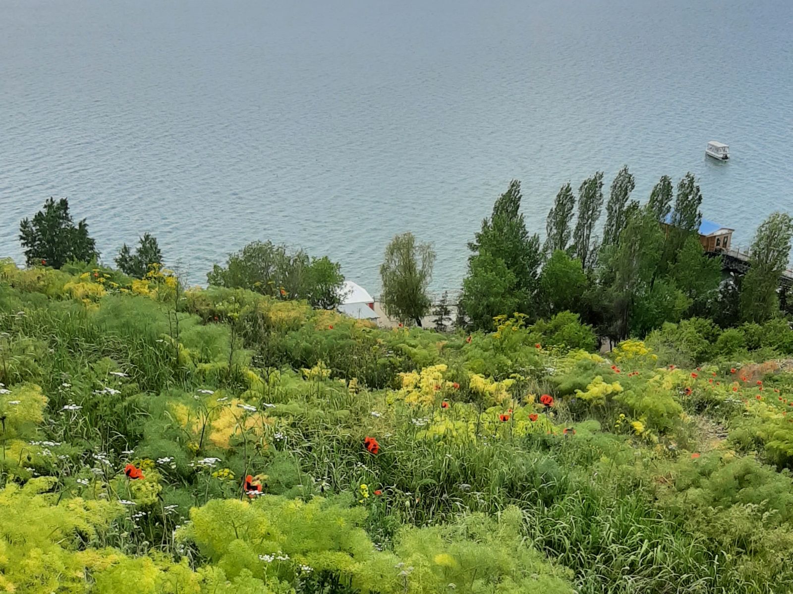 Полуостров Севана