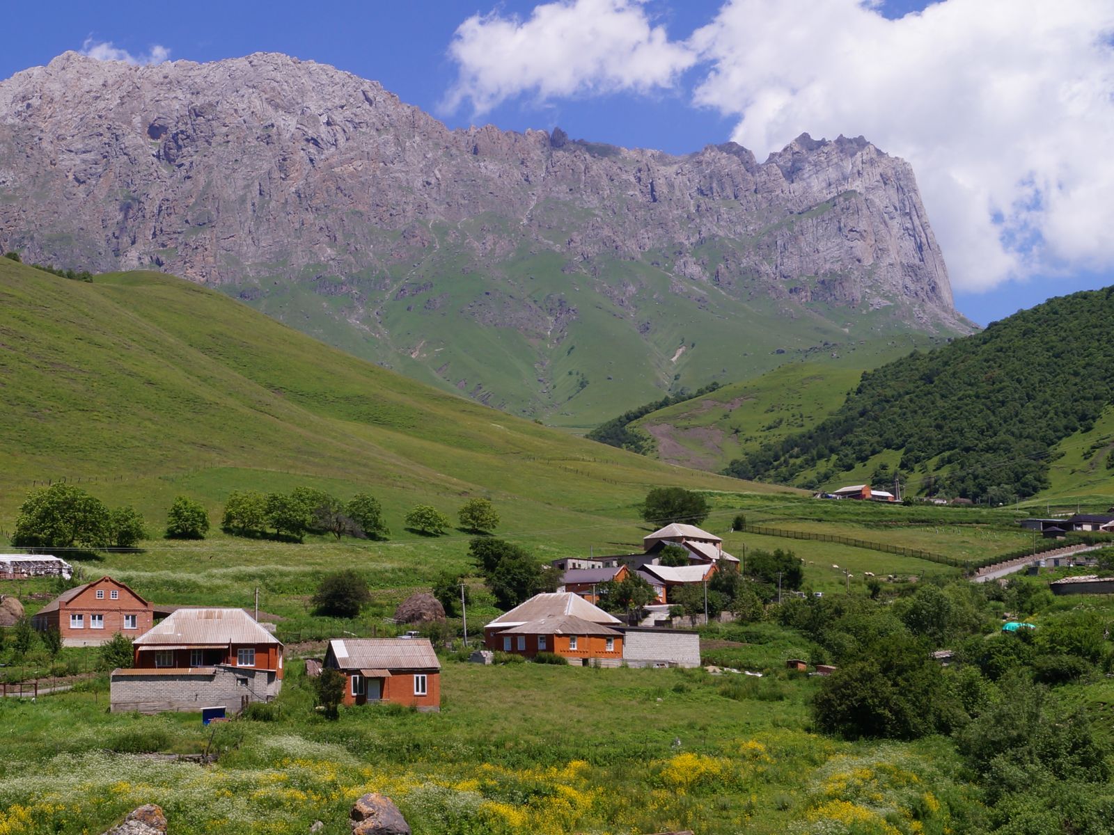 Гули 