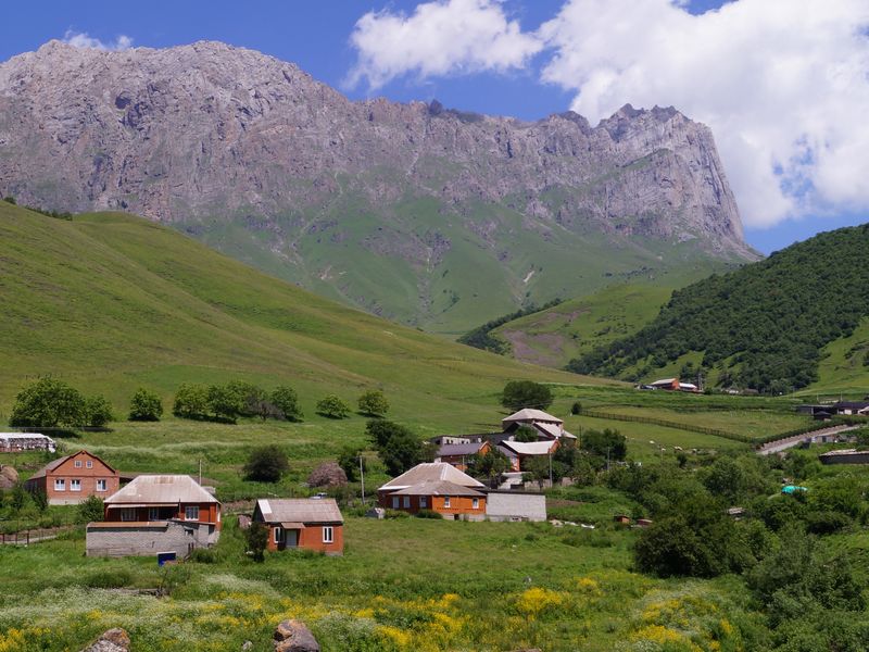 Гули