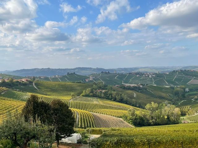 Винная экскурсия из Турина: Barbaresco и Alta Langa Spumante