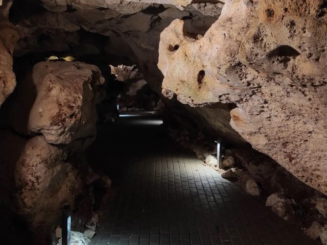 Групповая экскурсия к Белой скале (Ак-Кая) и в пещеру Таврида — фото 3