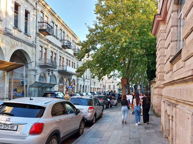 Индивидуальная обзорная экскурсия из Тбилиси в Кутаиси с ночевкой — фото 3