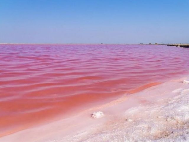 Экскурсия "Розовое озеро, горы Хызы, Бешбармаг + дегустация икры"