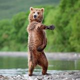 Алмаз гид в Казани