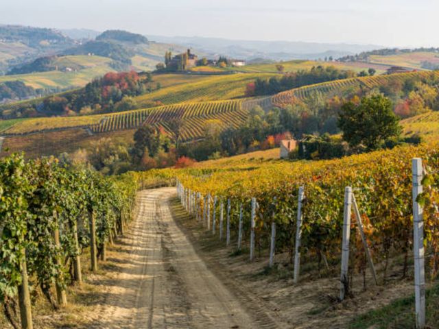 Винная экскурсия из Турина: Barbaresco и Alta Langa Spumante — фото 3