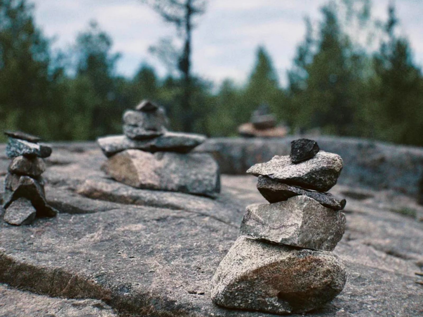 Сейды