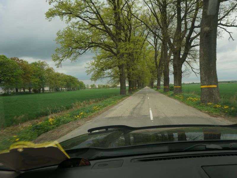 Дорога