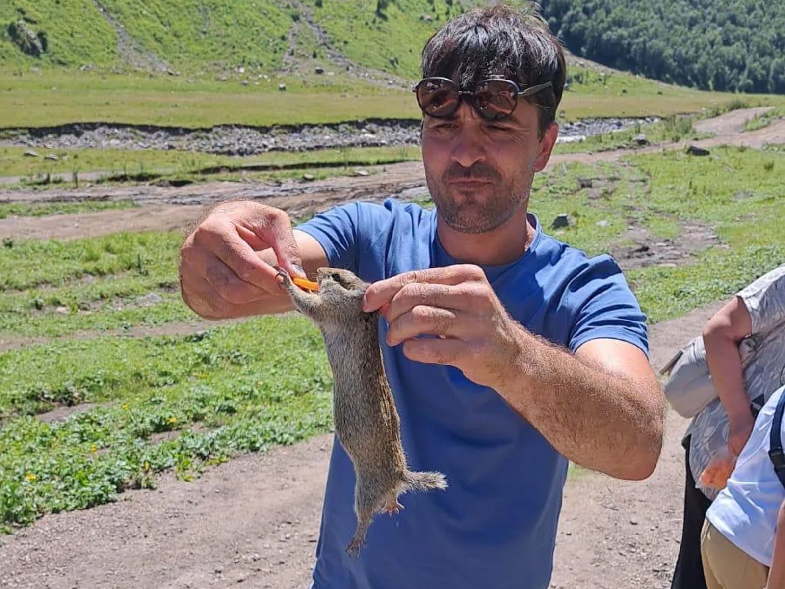 В долине сусликов