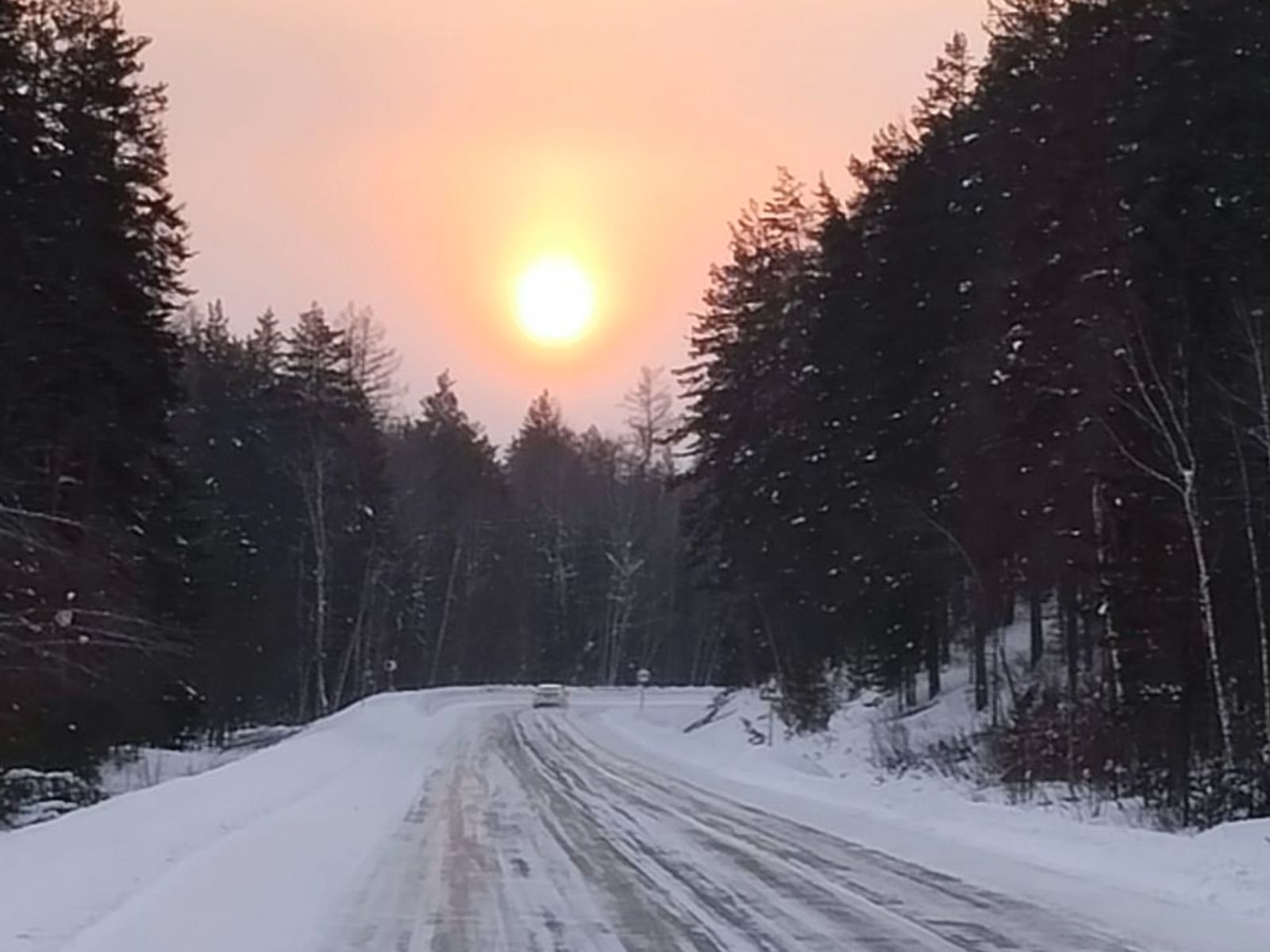 Дорога