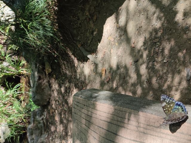 В гости к духам Тэнгу: экскурсия в сердце японской мифологии — фото 3