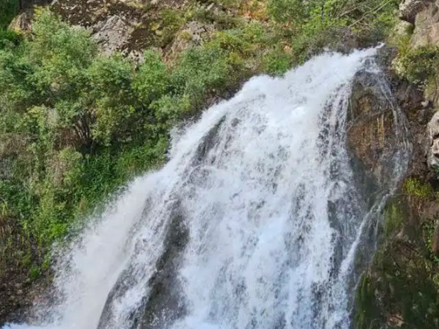 Экскурсия из Ташкента в Нанай — горная природа и водопады — фото 2