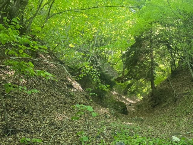 Индивидуальная треккинг-экскурсия из Тбилиси в Ркони — фото 2