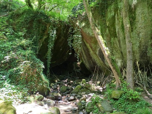 Групповая обзорная экскурсия из Лазаревского "Тайны дольмена" — фото 3
