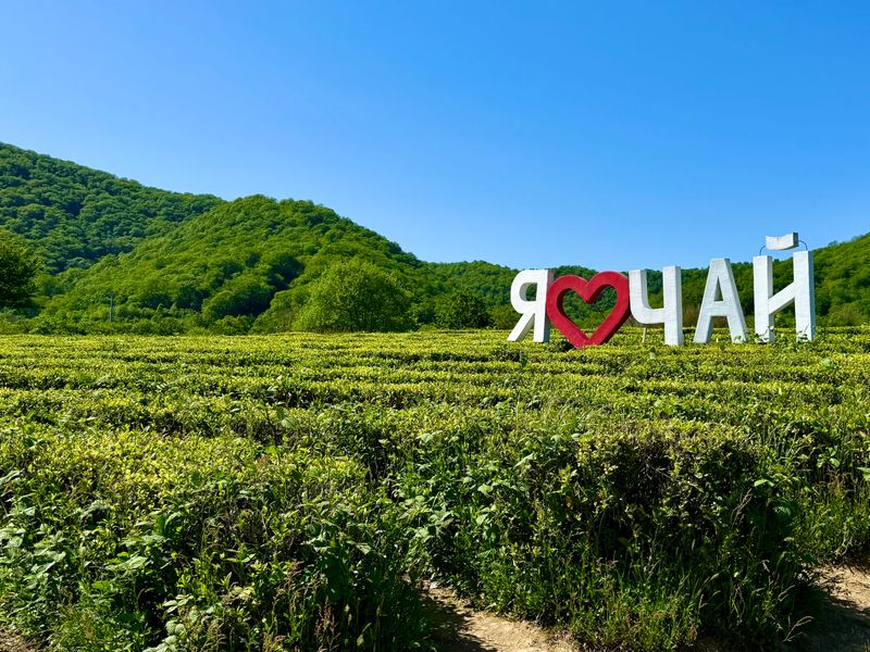 Хит продаж: групповая экскурсия «33 водопада + кавказское шоу» - групповая экскурсия в Лазаревском на автобусе длительностью 7 часов с количеством участников более 20 человек цена экскурсии 1600₽