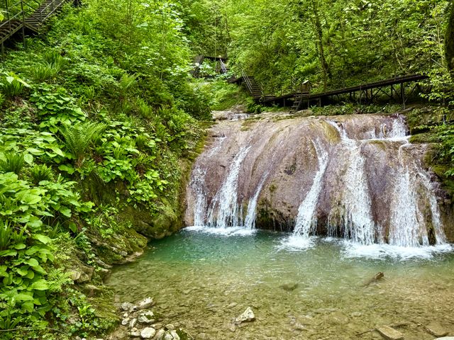 Групповая экскурсия из Лазаревского "33 водопада + зоопарк"