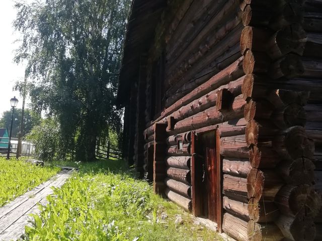 Обзорная экскурсия в вепсскую деревню Шёлтозеро — фото 3