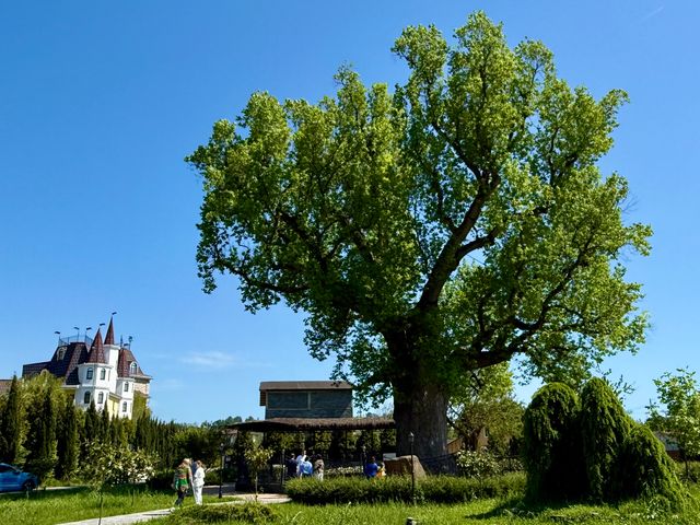 Групповая экскурсия из Лазаревского на "Кавказское шоу"