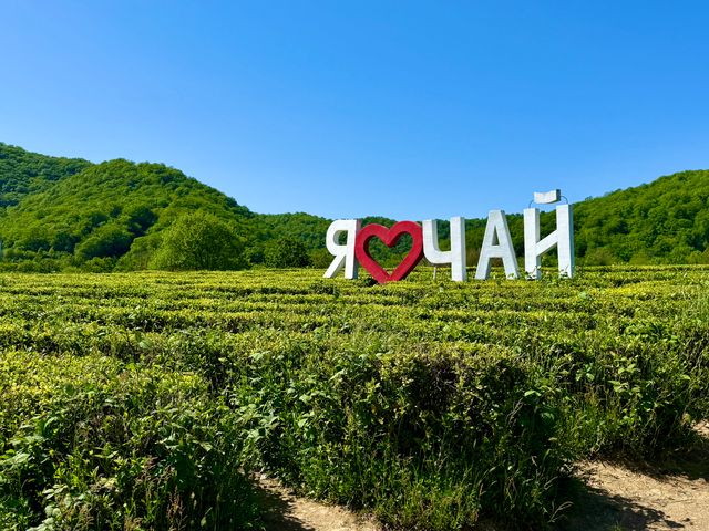 Групповая экскурсия из Лазаревского на "Кавказское шоу" — фото 2