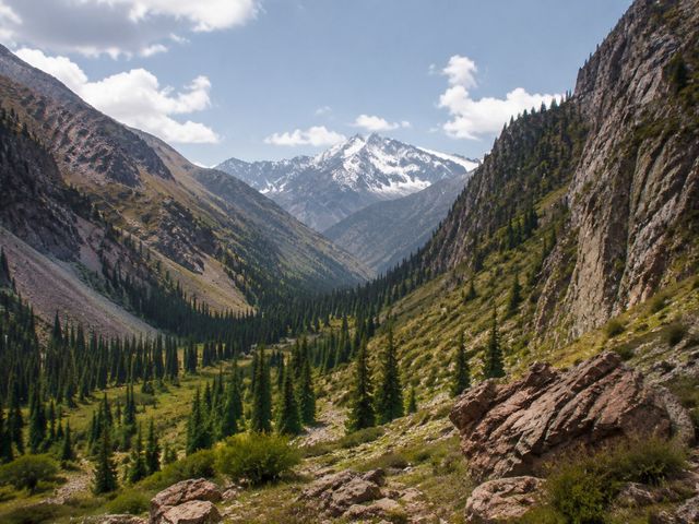 Индивидуальная экскурсия из Бишкека в ущелье Шамси — фото 2