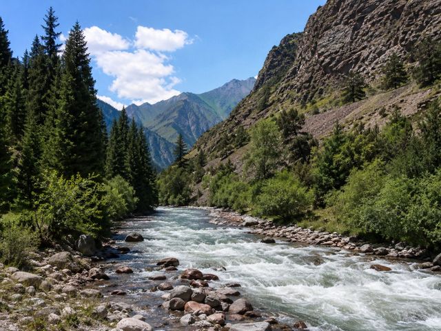 Индивидуальная экскурсия из Бишкека в ущелье Шамси — фото 3