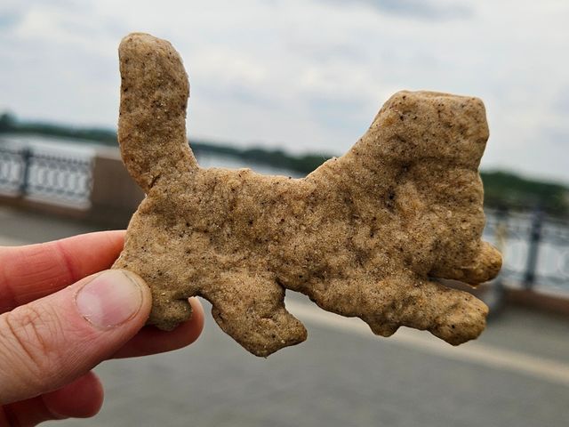 Индивидуальная пешеходная экскурсия по Нижней набережной Ангары — фото 3